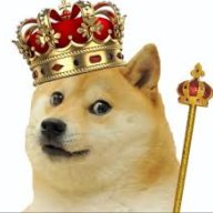 Karl_the_doggie