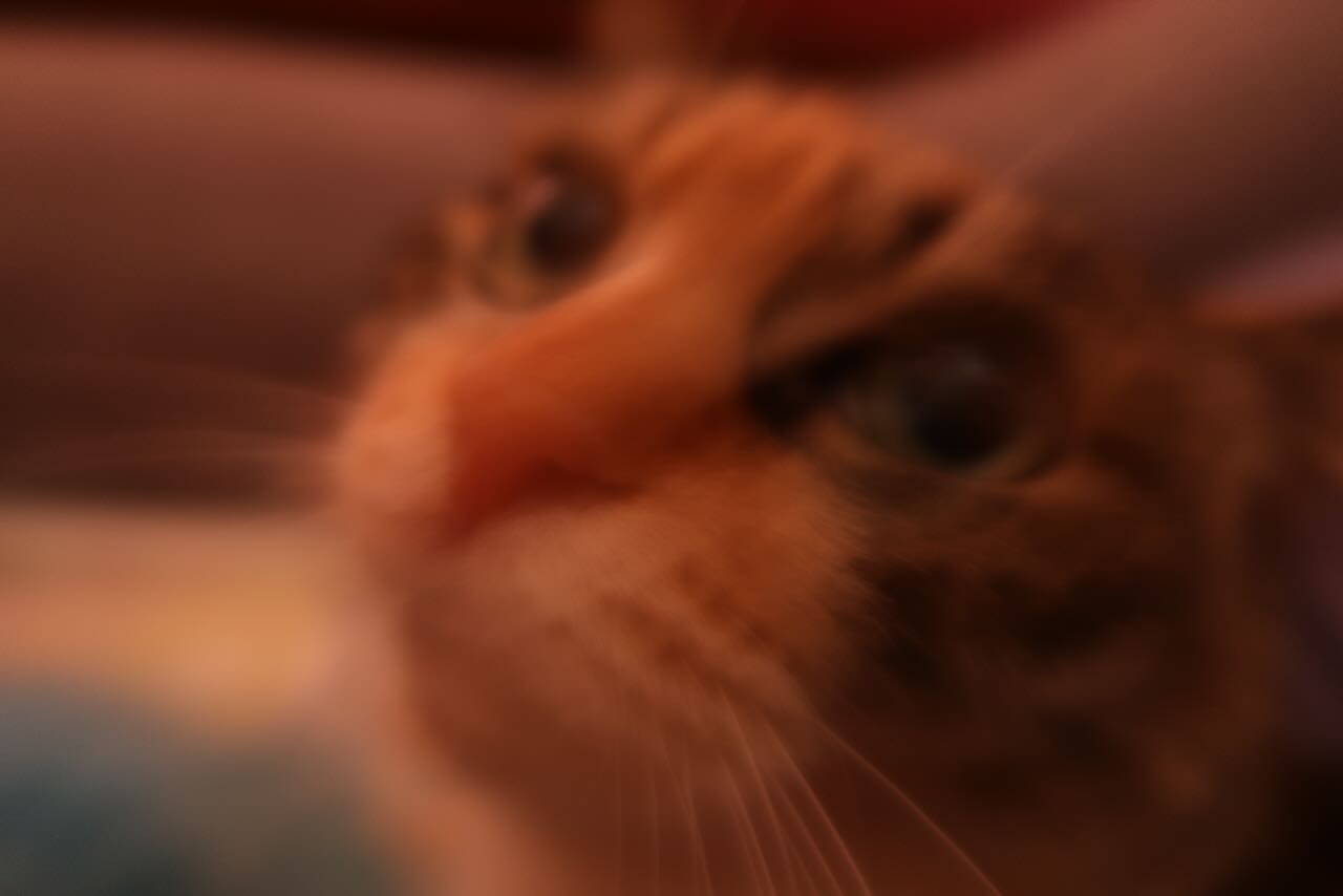 IMG8561.jpeg